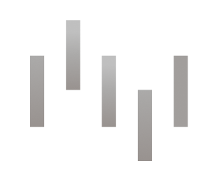 professional icon plan